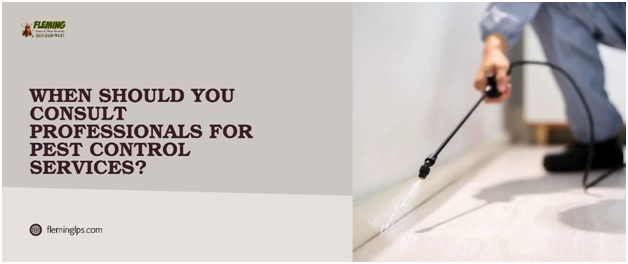 Pest Control Services